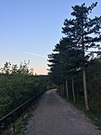 Ha kora reggel indulsz, ezt látod a láda előtti szakaszon, Ha kora reggel indulsz, ezt látod a láda előtti szakaszon,