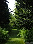 Allée Allée