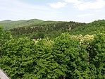 Panorámaképek Panorámaképek
