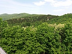 Panorámaképek