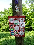 Vendégkönyv a csúcson Vendégkönyv a csúcson