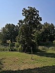 538. Csónakozó-tó Zalaegerszeg 538. Csónakozó-tó Zalaegerszeg