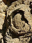 Gömbhéjasan málló sziklagolyó