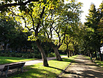 Szent István Park napjainkban (Fotó: Viczián Zsófia/pestbuda.hu)