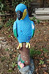 Giccsecske2: Der Blaue Papagei