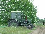 Traktor az esőben