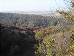 Panoráma