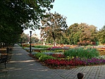 Virágos park