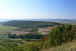 Panoráma