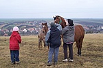 Lovak meg kilátás