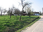 Szalafo