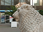 A Vörösmarty tér oroszlánja