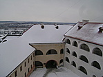 Madártávlat