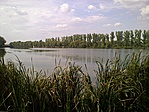 Dányi-tó látképe