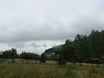 Panoráma