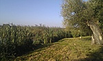 GCHoDu_20110911171453.jpg