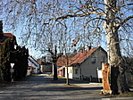 A várhoz vezető utca
