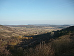 Panoráma