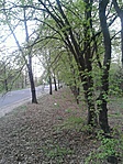 GCbotk_20120415163428.jpg