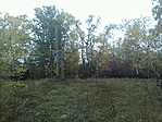 GCASOT_20121029105525.jpg