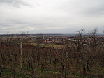 Panoráma