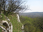 Panoráma