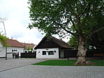 Kiskőrös 31