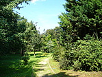 Szent Bernát Arborétum