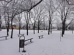 IMG_20170128_115210