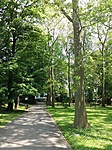 Csiky Gergely Színház mögötti park