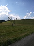 IMG_20180603_141210