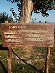 Soós öböl