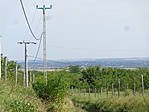 DSC07675