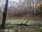 IMG_20201113_103637