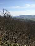 Panoráma