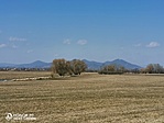 IMG_20210321_111604