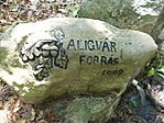 Aligvár-forrás