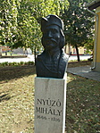 Nyúzó Mihály