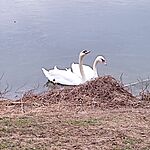 IMG_20240113_111726