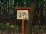 korai juhar korai juhar