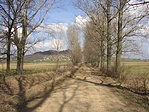 Úton Úton