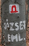 A jelzés (by lelcache) A jelzés (by lelcache)