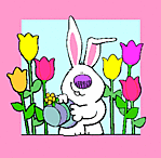 Tulipános Nyuszi Tulipános Nyuszi