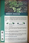 És olvashatóan, nagyban. És olvashatóan, nagyban.