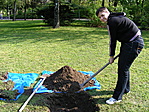 Ásás közben Ásás közben