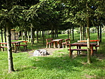 Piknikezőhely Piknikezőhely