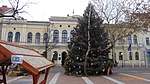 P1230907 P1230907