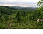 Gulicska Gulicska