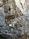 IMG_7405 IMG_7405