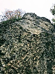 IMG_7648 IMG_7648